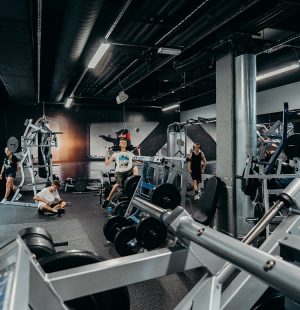 maszyny na siłowni do treningu w galerii tęcza